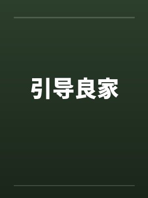 引导良家by佚名封面