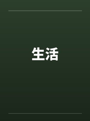 生活文小说封面
