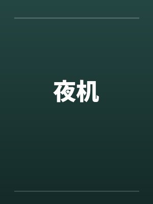 夜机暗示了什么封面