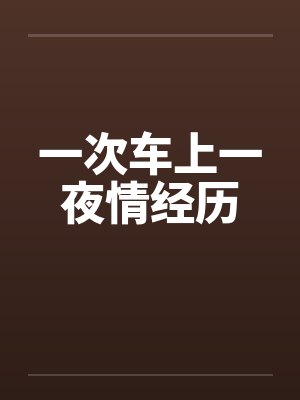 一次车上一夜情经历笔趣阁无弹窗封面