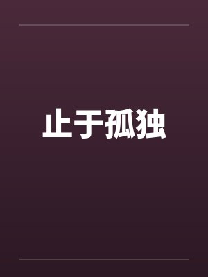 止于孤独笔趣阁无弹窗封面