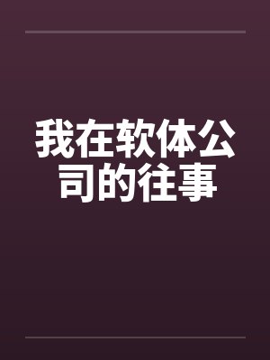 我在软体公司的往事by佚名封面