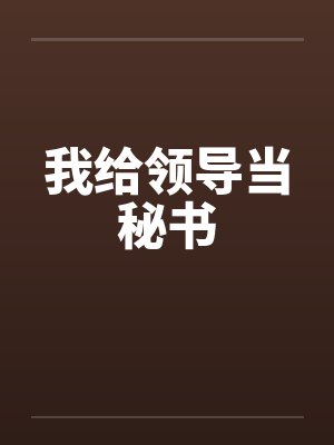 我给领导当秘书封面