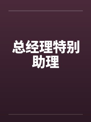 总经理特别助理by佚名封面