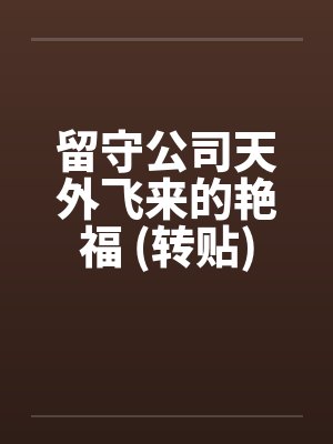 留守公司天外飞来的艳福 (转贴)封面