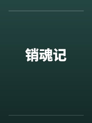 销魂记封面