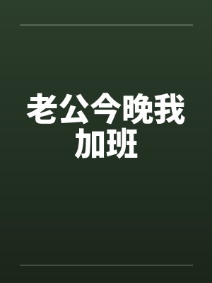 老公今晚我加班封面
