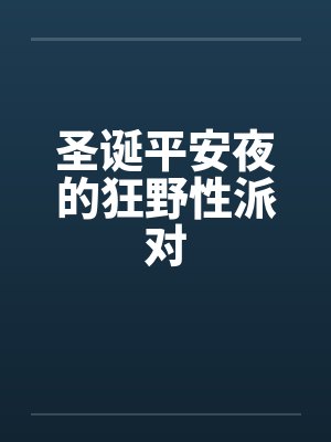 圣诞平安夜的狂野性派对封面