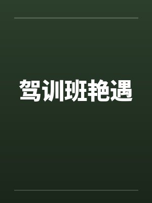 驾训班艳遇by佚名封面