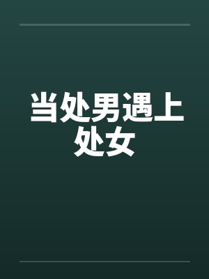 当处男遇上处女封面