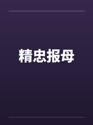 精忠报母by佚名笔趣阁无弹窗封面