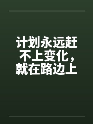 计划永远赶不上变化，就在路边上了！封面