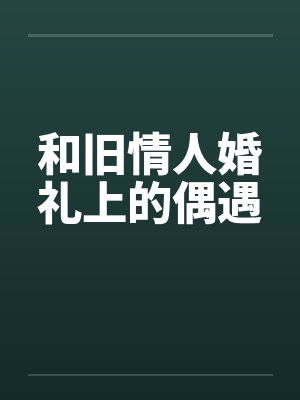 和旧情人婚礼上的偶遇by佚名笔趣阁无弹窗封面
