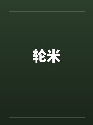 轮米封面