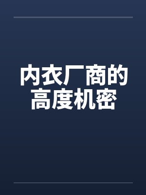 内衣厂商的高度机密笔趣阁无弹窗封面