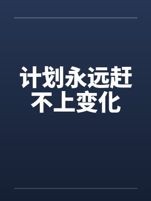 计划永远赶不上变化by佚名封面