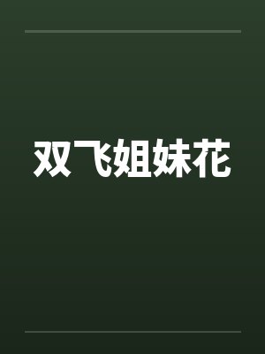 双飞姐妹花封面