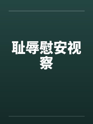 耻辱慰安视察by佚名封面