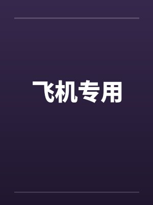 飞机专用by佚名笔趣阁无弹窗封面