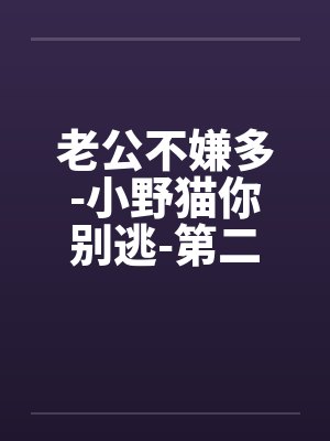 老公不嫌多-小野猫你别逃-第二部 混乱的同居生活 71.共同被“骑”计划1（高H）封面