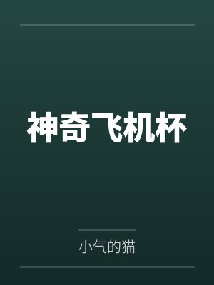 奇术飞机杯封面