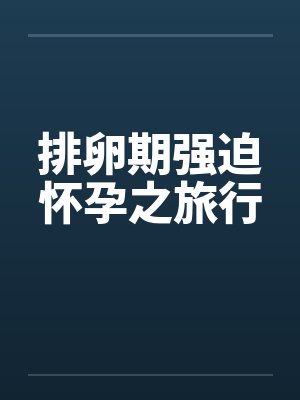 排卵期强迫怀孕之旅行by佚名封面