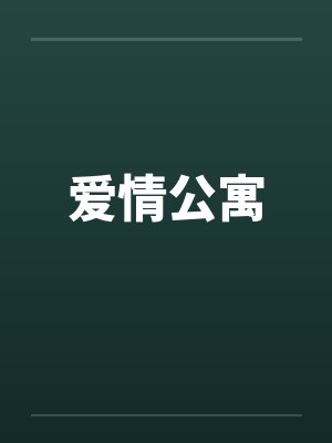 爱情公寓封面