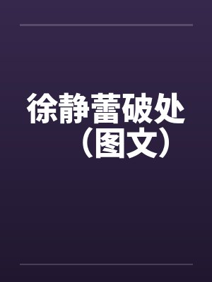 徐静蕾破处（图文）封面