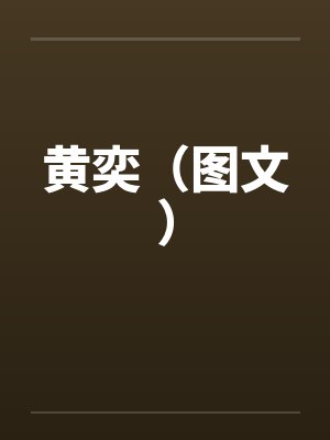 黄奕（图文）by佚名封面
