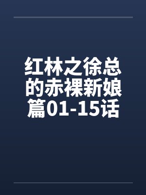 红林之徐总的赤裸新娘篇01-15话by佚名笔趣阁无弹窗封面