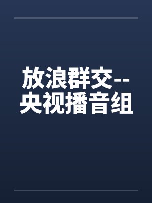 放浪群交--央视播音组by佚名封面