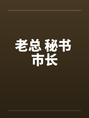 老总 秘书 市长封面