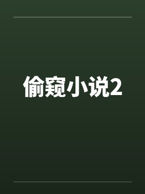 偷窥小说2封面