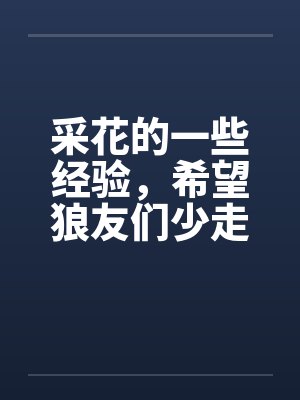 采花的一些经验，希望狼友们少走弯路成功率比较高封面