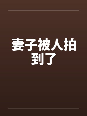 妻子被人拍到了笔趣阁无弹窗封面
