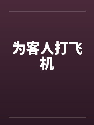 为客人打飞机封面
