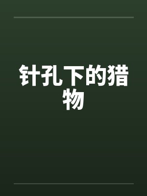 针孔下的猎物笔趣阁无弹窗封面