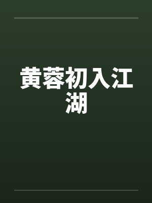 黄蓉初入江湖封面