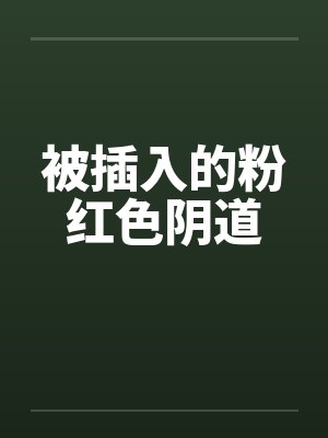 被插入的粉红色阴道封面