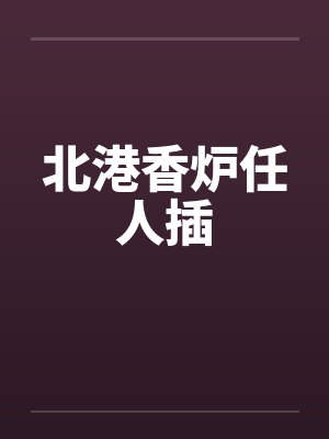 北港香炉任人插封面