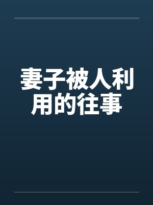 妻子被人利用的往事笔趣阁无弹窗封面