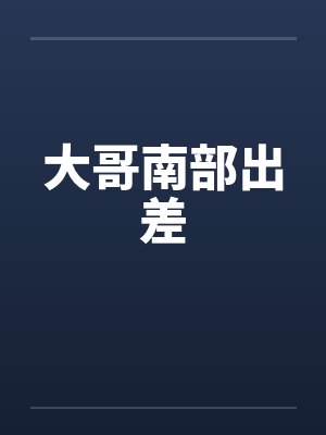 大哥南部出差封面