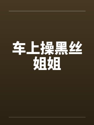 车上操黑丝姐姐by佚名封面