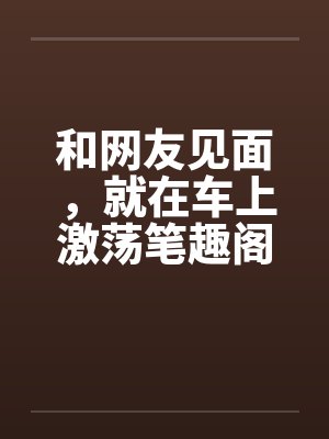 和网友见面，就在车上激荡笔趣阁无弹窗