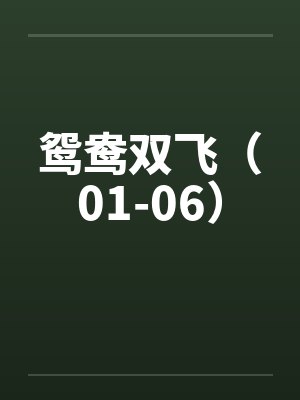 鸳鸯双飞（01-06）by佚名封面
