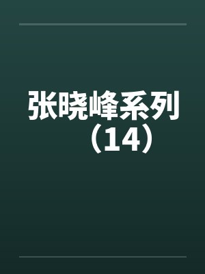 张晓峰系列（14）笔趣阁无弹窗封面