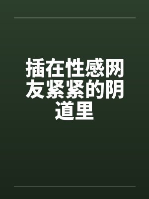 插在性感网友紧紧的阴道里by佚名封面