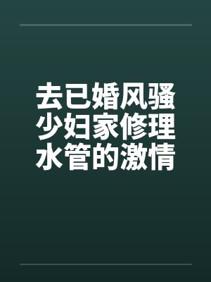 去已婚风骚少妇家修理水管的激情３Ｐ艳遇笔趣阁无弹窗封面
