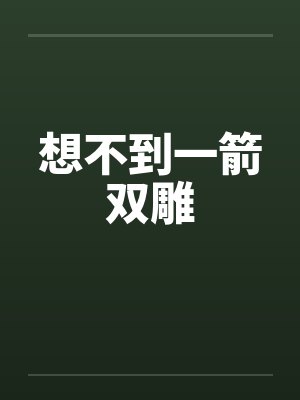 想不到一箭双雕封面