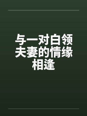 与一对白领夫妻的情缘相逢by佚名封面
